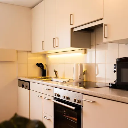 Homy Alpine Panorama Apartment Bludenz